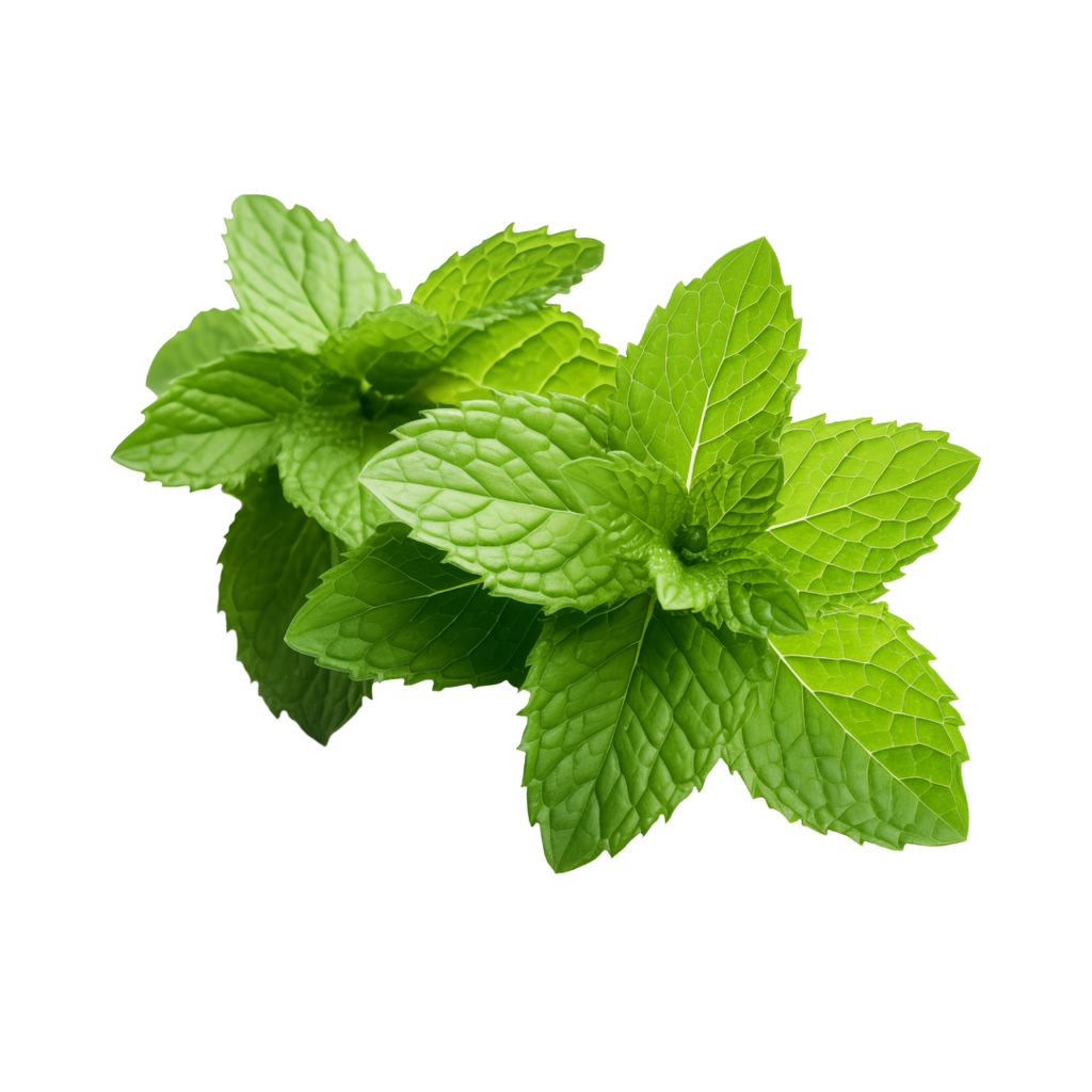 Peppermint Oil